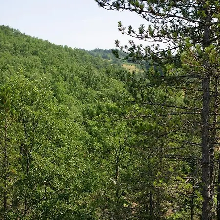 Brvnara Mila Pranjani