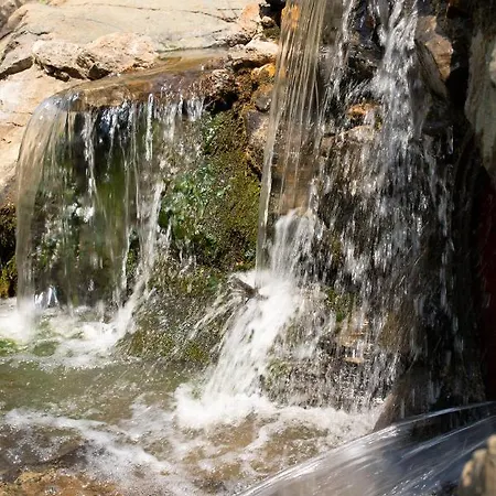 Brvnara Mila Chalet Pranjani