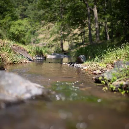 Brvnara Mila Chalet Pranjani
