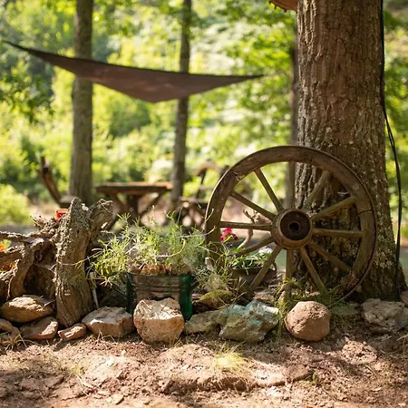 Brvnara Mila * Pranjani