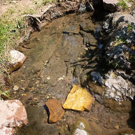 Brvnara Mila Pranjani