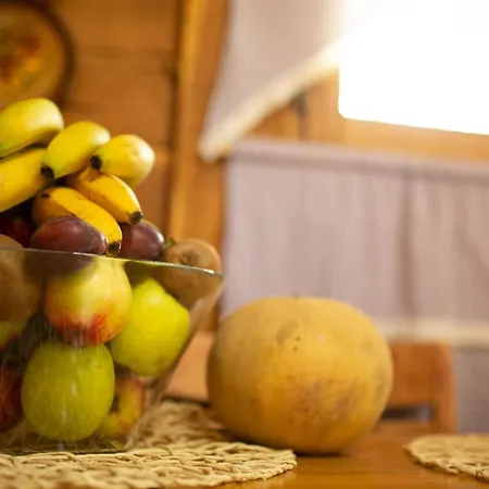 Brvnara Mila Pranjani