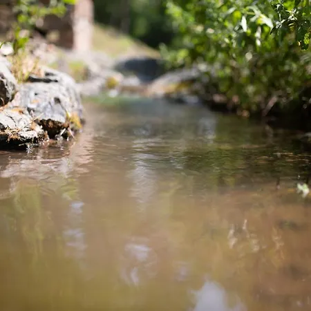 Brvnara Mila Chalet Pranjani