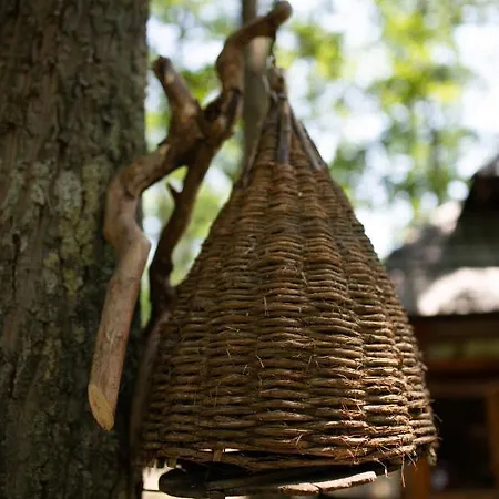 Chalet Brvnara Mila Pranjani