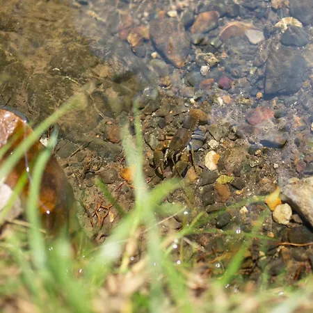 Brvnara Mila Chalet *