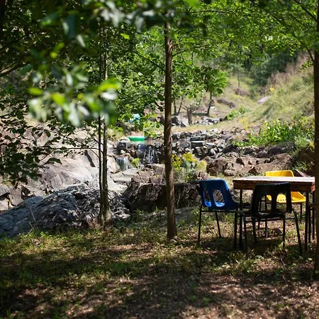 Chalet Brvnara Mila *