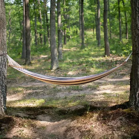 Chalet Brvnara Mila *