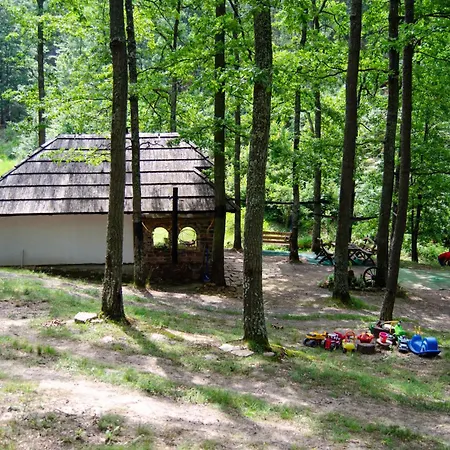 Chalet Brvnara Mila