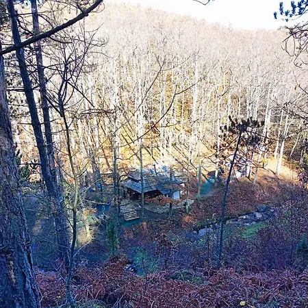 Brvnara Mila * Pranjani