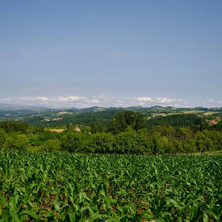 Brvnara Mila Chalet *