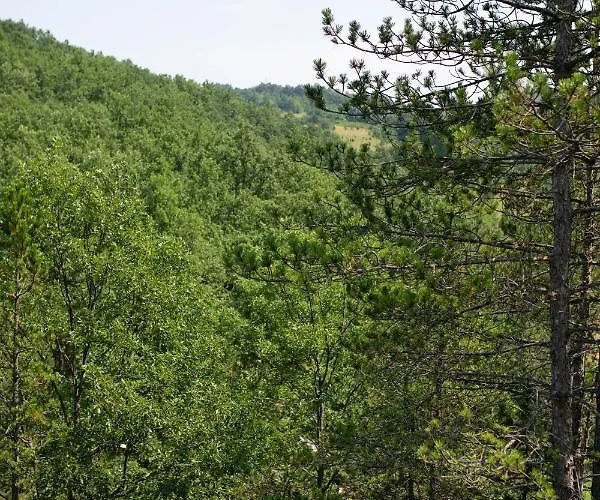 Brvnara Mila Pranjani