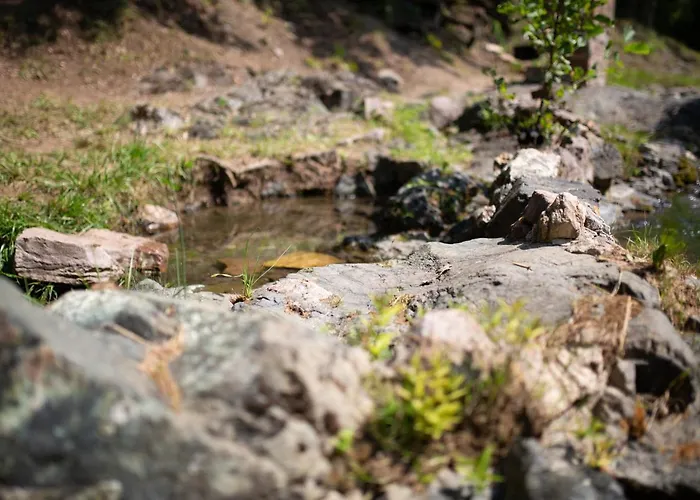 شاليه Brvnara Mila