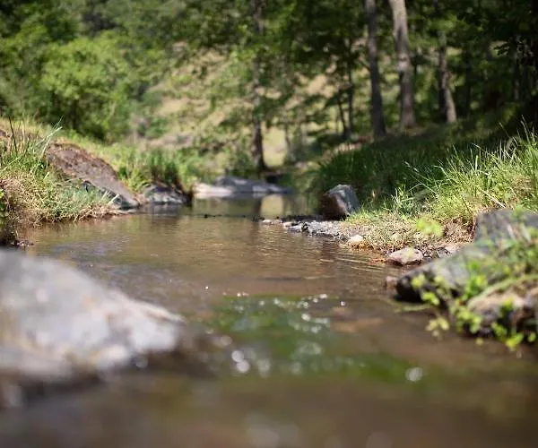 Brvnara Mila شاليه Pranjani