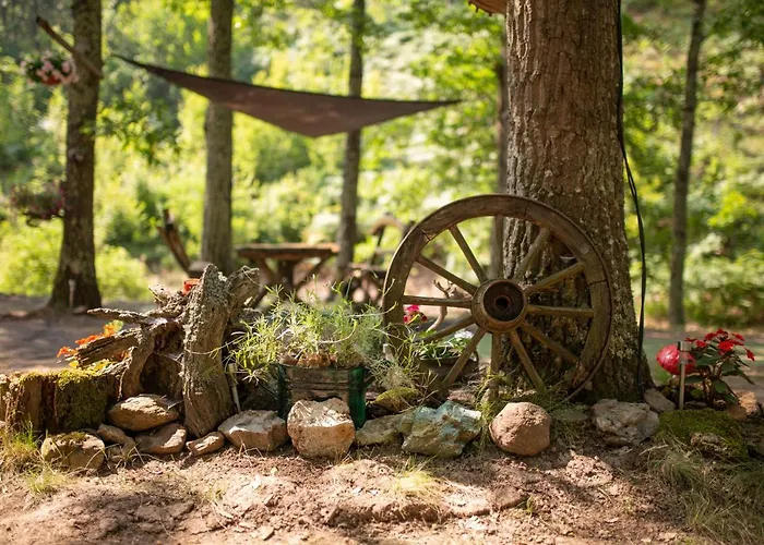 Brvnara Mila * Pranjani