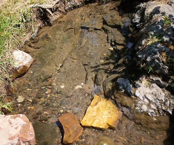 Brvnara Mila Pranjani