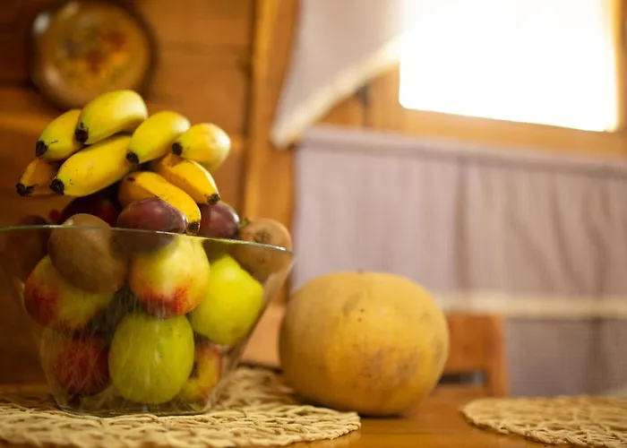 Brvnara Mila Pranjani