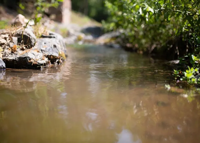 Brvnara Mila شاليه Pranjani