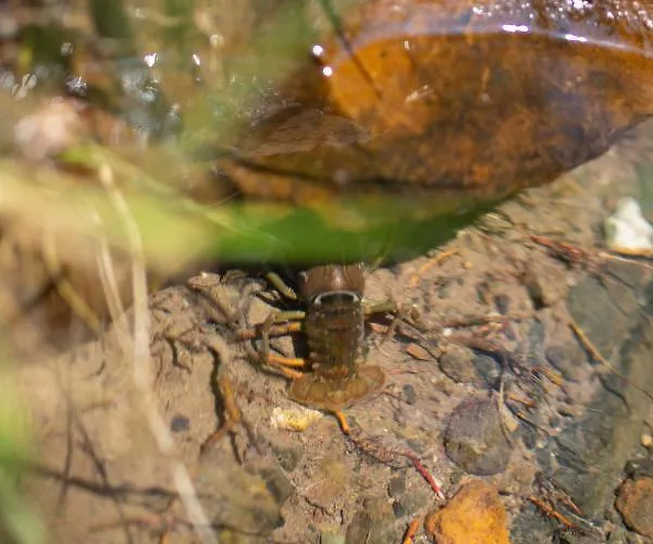 شاليه Brvnara Mila Pranjani