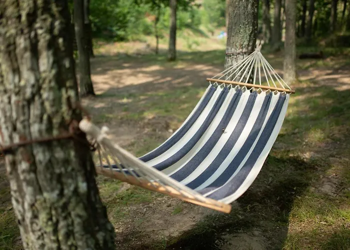 Brvnara Mila شاليه Pranjani