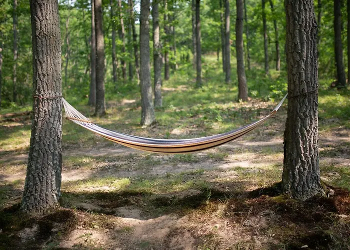 شاليه Brvnara Mila *