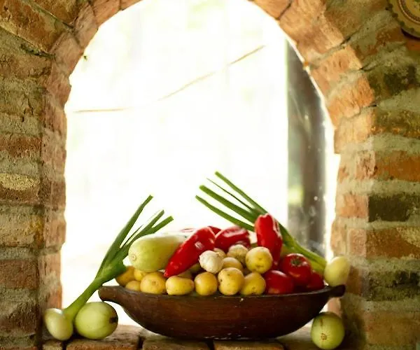 Brvnara Mila شاليه