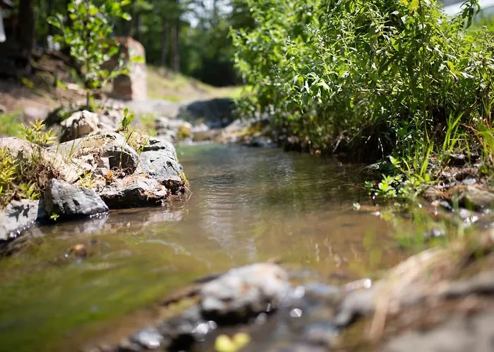 شاليه Brvnara Mila