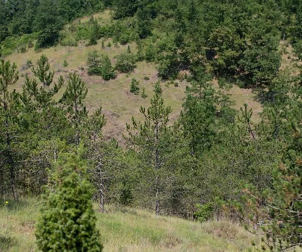 شاليه Brvnara Mila *