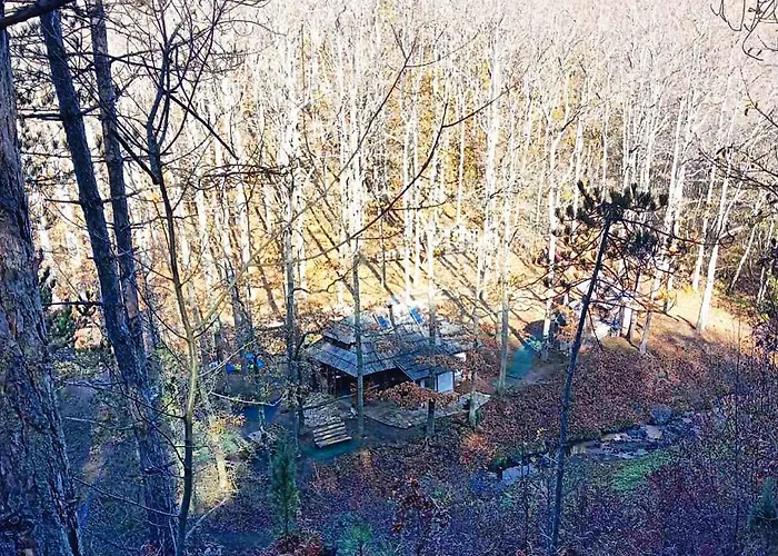 Brvnara Mila * Pranjani