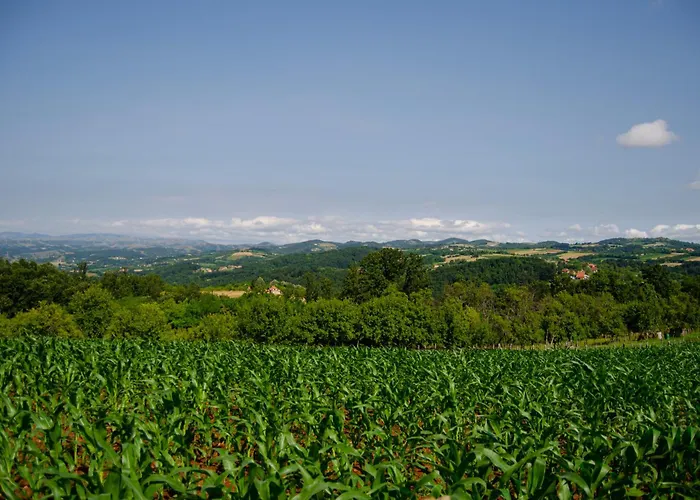 Brvnara Mila شاليه *