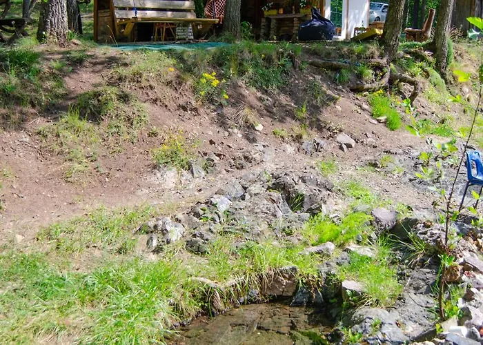 Brvnara Mila * Pranjani